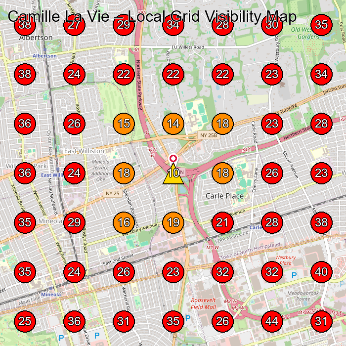 Camille La Vie GeoGrid visibility map for Dress Store in Mineola